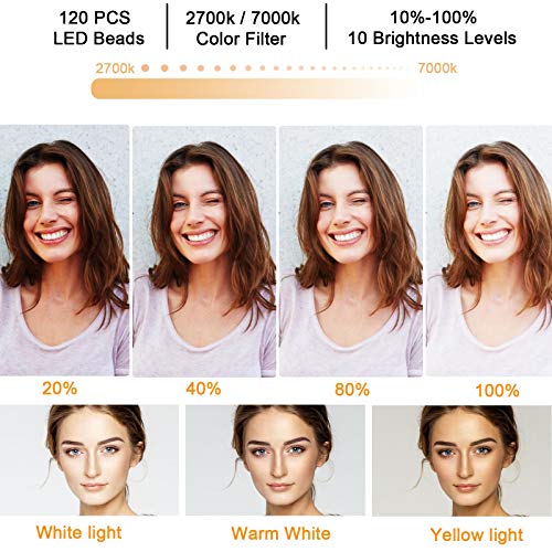 Polarpra Desktop Selfie Ring Light with Tripod and 3 in 1 Phone Holders, Portable 10\