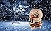 Lightahead Musical Christmas Snowman Water Ball Snow Globe with Music 100 MM in Polyresin