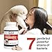Best Value Probiotic for Dogs, 90 chewable tablets, 7 Beneficial Strains, 4 Billion CFUs per tablet, Acidophilus probiotics for Digestion and Immune Support