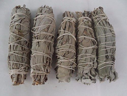 Smudge Smudges Herbs California Mini Sage Wands 4 to 5 Inch 5 Pack White House Cleansing
