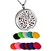 HooAMI Aromatherapy Essential Oil Diffuser Necklace - Stainless Steel Pendant Locket Jewelry,12 Refill Pads (to The World...)