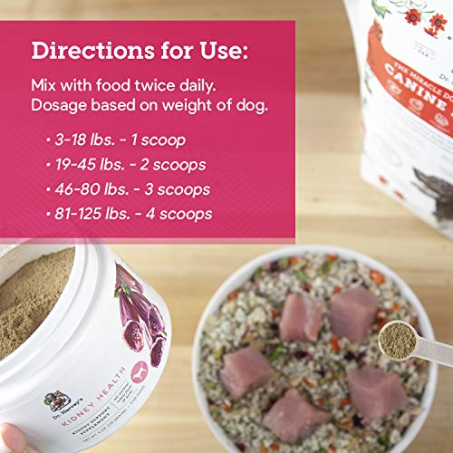 Dr. Harvey's Kidney Health Kidney Support Supplement for Dogs (4 Ounces) - Thumbnail 6