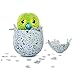 Hatchimals Draggle - Blue/Green Egg