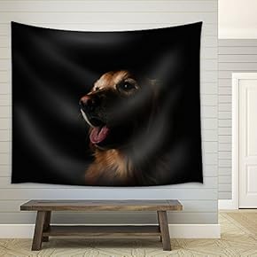 Portrait of a Cute Dog in The Dark - Fabric Wall Tapestry Home Decor - 51x60 inches