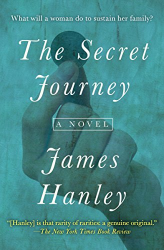 The Secret Journey: A Novel (The Furys Saga Book 2)