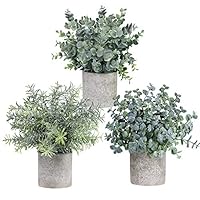 Winlyn Set of 3 Mini Potted Artificial Eucalyptus Plants Plastic Fake Green Rosemary Plant for Home Decor Office Desk Shower Room Decoration