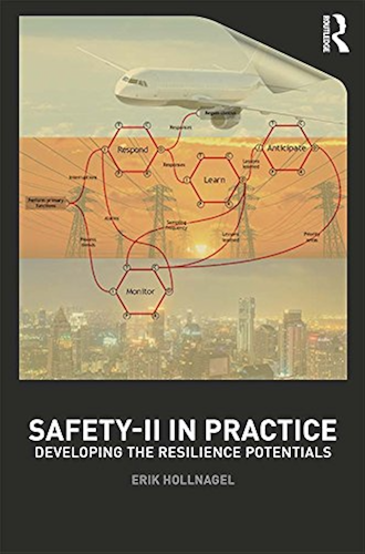 Download Safety-II in Practice: Developing the Resilience Potentials (English Edition) PDF