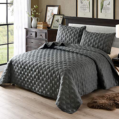 Exclusivo Mezcla 3Piece Queen Size Quilt Set with Pillow Shams, as
