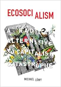 Ecosocialism A Radical Alternative To Capitalist Catastrophe Michael L 246 Wy 9781608464715