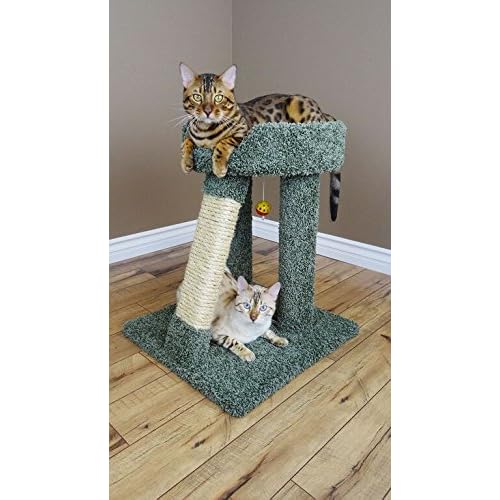 Angled Cat Scratching Post and Bed 24 inch Green Cat Scratcher Sisal