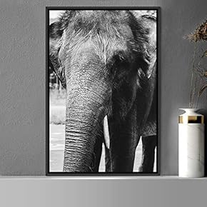 signwin Framed Canvas Wall Art Duotone Elephants Animals...