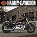 Harley-Davidson (Bilingual Spanish) 2020 Wall Calendar (English and Spanish Edition) by 