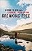 Breaking Free (Good To Go Book 1) by Jeffrey Vonk