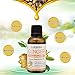 New Natural Plant Lymphatic Drainage Ginger Oils,Drainage Ginger Oils,Natural Anti Aging Oil Body Massage Pure Natural 30ml