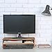 2-Tier Wood Computer Monitor Riser Stand w/ Organizer Shelf