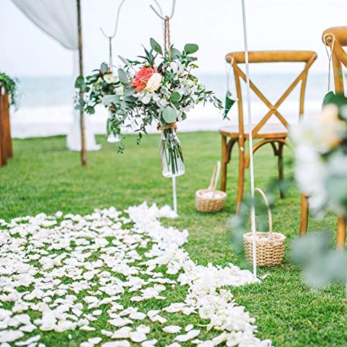 DomeStar Artificial Flower Petals 2000PCS Fake Rose Petals Fabric Petals Silk White Rose Petals for Romantic Night Wedding Valentines