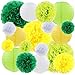 Green Yellow Tissue Paper Lanterns Flowers Pom Poms Hanging Party Decorations, 18 pcs primary