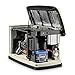 Generac 70291 Home Standby Generator Guardian Series 9/8kW Air-Cooled with Wi-Fi, Aluminum