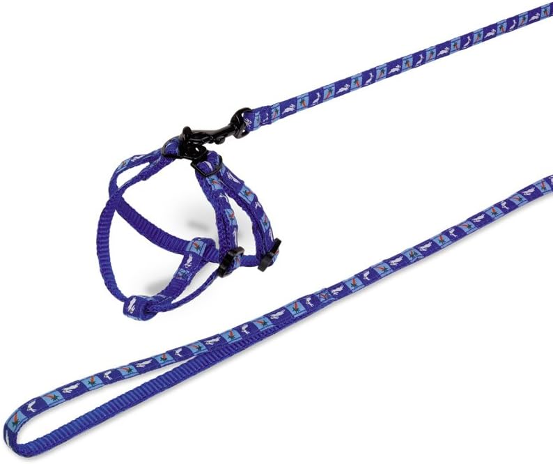 Nobby Set Nylon for Rabbits Carrot Blue
