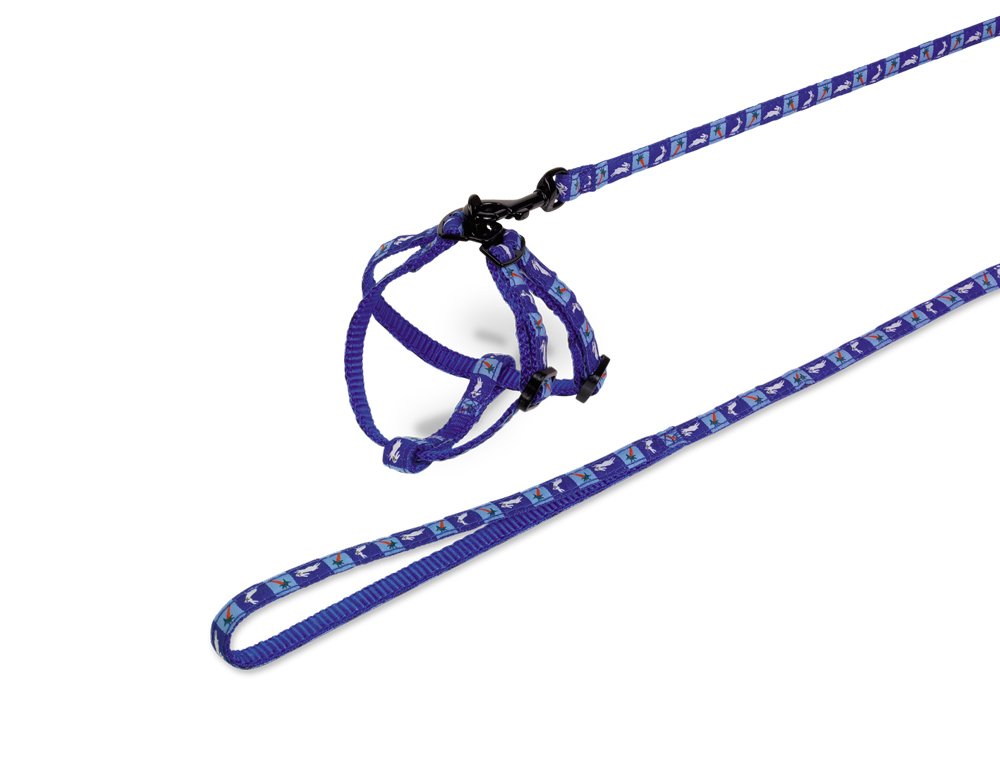 Nobby Set Nylon for Rabbits Carrot, Blue