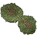 Delicaft Set of 2 (6''& 8'') (No Bird) Easter Handmade Dry Natural Moss,Rattan and Twig Bird's NestFor Home Decor (Set of 2 （Green）)