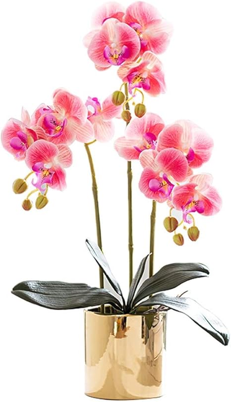 Amazon ポットのフェイク花鉢植え盆栽 ホワイト ピンク パープル では人工花付きプランターオーキッド大型屋内シルクフラワー大型人工植物 Color Pink サイズ 3 Bunches 造花 オンライン通販