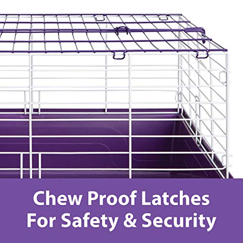 Kaytee Deluxe 42 X 18 2 Level Rabbit Cage Pricepulse