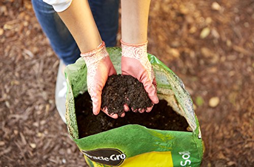 Miracle-Gro All-Purpose Garden Soil - Image 4