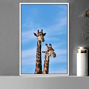 signwin Framed Canvas Wall Art Giraffe Animals Expressive...