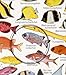 Indian Ocean: Fishwatchers Fish Guide for Maldives, Seychelles, Kenya