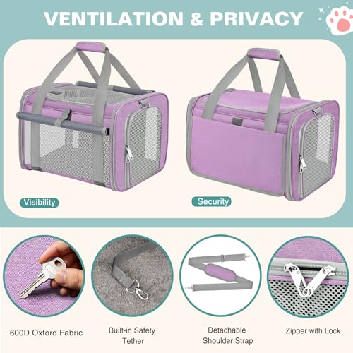 BTNEEU Foldable Cat Carrier Carrier Small Dog Carrier Airline Approved Breathable Carrier Bag with Inner Strap, Washable Soft Cushion and Adjustable Shoulder Strap (Purple)