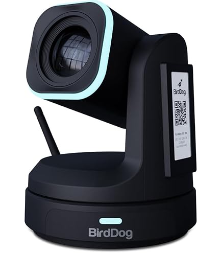 Amazon.com : BirdDog Eyes P100 1080P Full NDI PTZ Camera with SDI