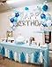 Blue Birthday Party Decorations Baby Blue Winter Holiday Wonderland Frozen Party Supplies Snow Theme Party Decor Baby Boy First Birthday Whales Boy Baby Shower Decorations