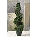 Nearly Natural 5160 Cedar Spiral Silk Tree Indoor/Outdoor, 2-Feet, Green
