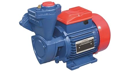 Crompton 1HP SP Mini Champ I Water Pump (Multicolour)