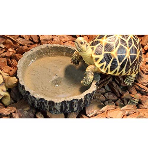 AROYEL Reptile Bowl Food Water Dish Bearded Dragon Gecko Meal Worm Feeder, Resin Feeding Food Water Dish Dispenser Snack Holder for Tortoise Spider Lizard - Thumbnail 3