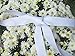 White 1 Inch Grosgrain Ribbon. 50 Yards Gift Wrapping Spool by Drency Ribbons