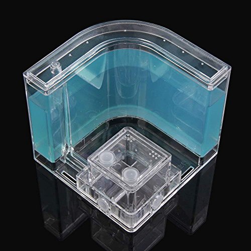 YueYueZou® Ants Farm Kit, Translucent Ants Habitat Educational Gel