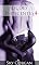 Livro Lições indecentes 4