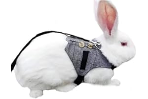 Hypeety Multipurpose Rabbit Vest Harness and Leash Set Small Animal Adjustable Soft Harness with Button Decor Formal Suit Sty