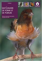 Les  canaris de forme et de posture