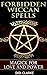 Forbidden Wiccan Spells: Magick for Love and Power by Didi Clarke
