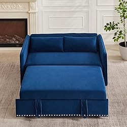 55-inch Loveseat Pull Out Sofabed ,Modern 3 in 1