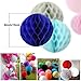 Wcaro White Navy Blue Gold 8inch 10inch Tissue Paper Pom Pom Paper Flowers Paper Honeycomb Paper Lanterns for Navy Blue Themed Party,Party Decoration Bridal Shower Decor Baby Shower Decoration