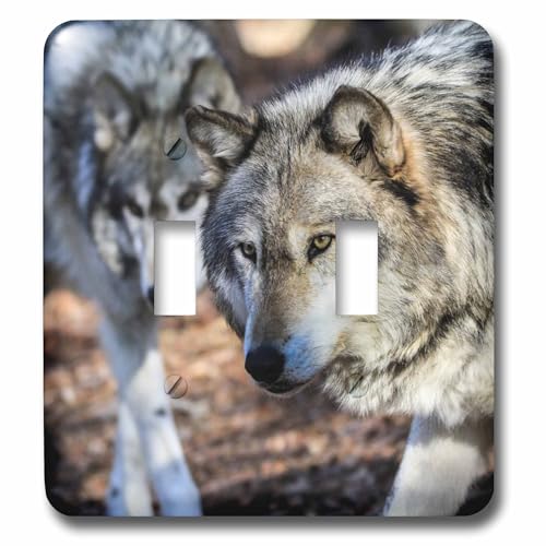 3dRose Gray Wolf With A Friend double toggle switch