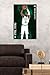Trends International NBA Boston Celtics - Kyrie Irving 17 Wall Poster, 22.375
