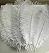 AWAYTR 20-22 inch (50-55cm) Natural Ostrich Feathers for Wedding Centerpieces Home Decoration,Flower Arrangement,DIY Christmas Decorations (10pcs,White)