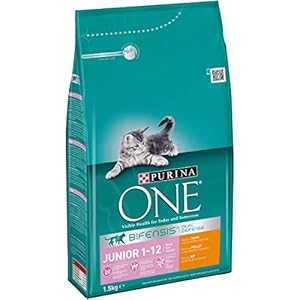 One Junior, Rico en Gallina y Completo Grano de Cereales Gato trockenfutter, 6 Pack (6 x 1500 g)