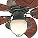 Westinghouse 7861920 Oasis Single-Light 48-Inch Five-Blade Indoor/Outdoor Ceiling Fan, Oil Rubbed Bronze with Yellow Alabaster Glass