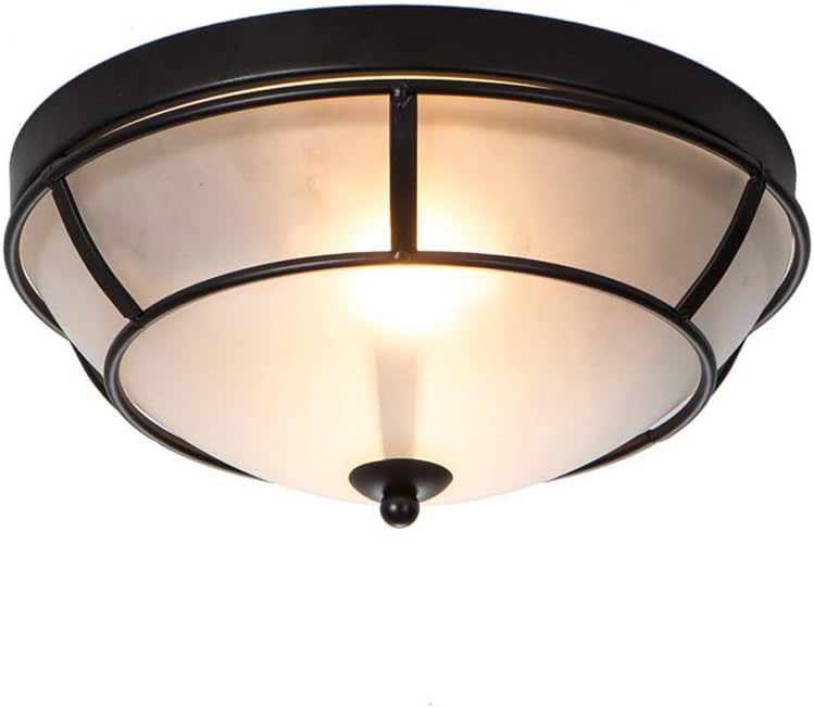 Best ceiling lights living room black
